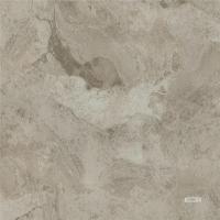 SPC Flooring LS-567-2