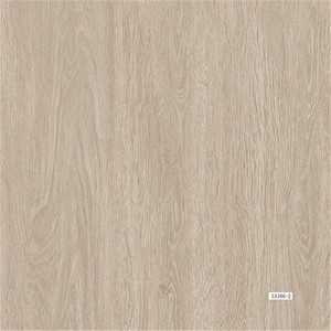 SPC Flooring LS-166-2