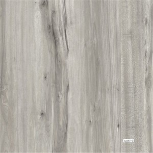 SPC Flooring LS-156-4