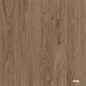 SPC Flooring LS-168-1