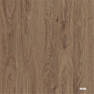 Factory Price For Integrated Wall Board - SPC Flooring LS-168-2 – Chinatide