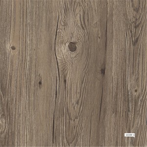 SPC Flooring LS-169-1