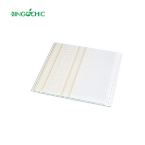 Printing PVC Panel 250mm CTM3-12